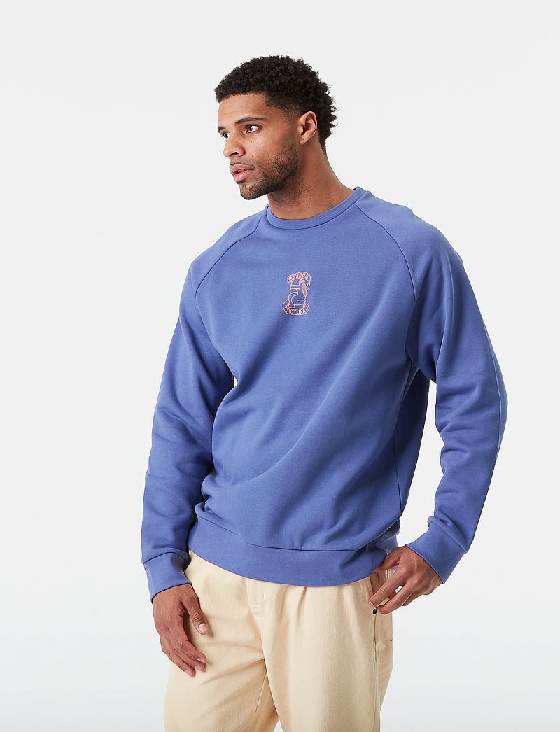 PICTURE ORGANIC CLOTHING - TERRA CREW - oberteile - b skipper blue - 3