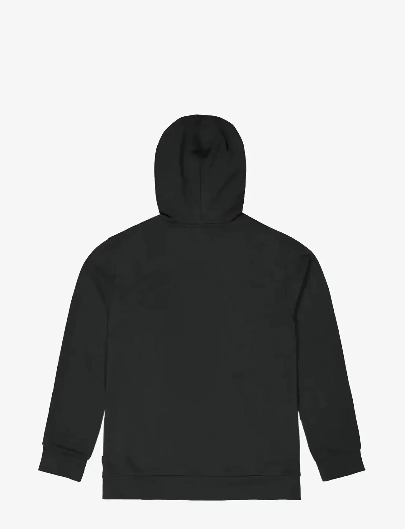 PICTURE ORGANIC CLOTHING - BASEMENT HOODIE - overdele - a black - 1