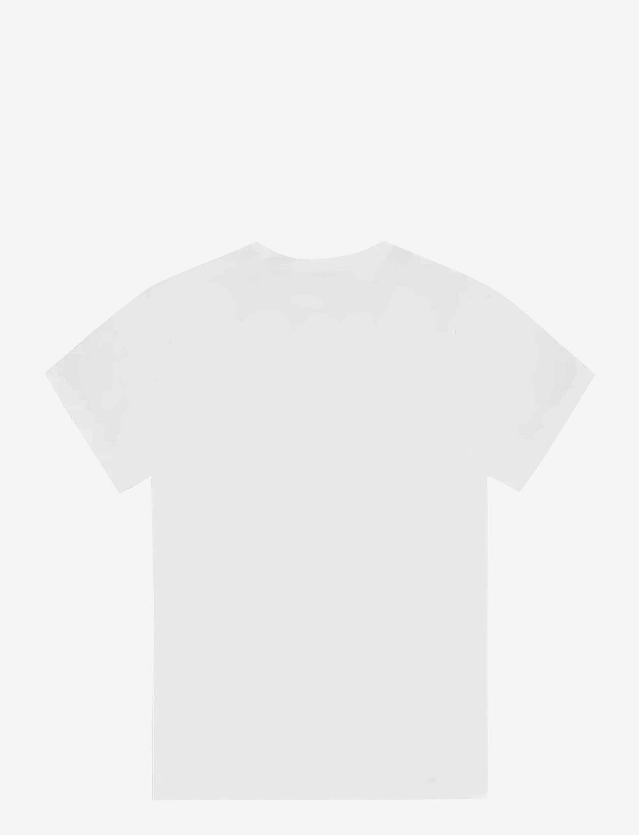 PICTURE ORGANIC CLOTHING - BASEMENT CLASSIC TEE - koszulki i t-shirty - c white - 2