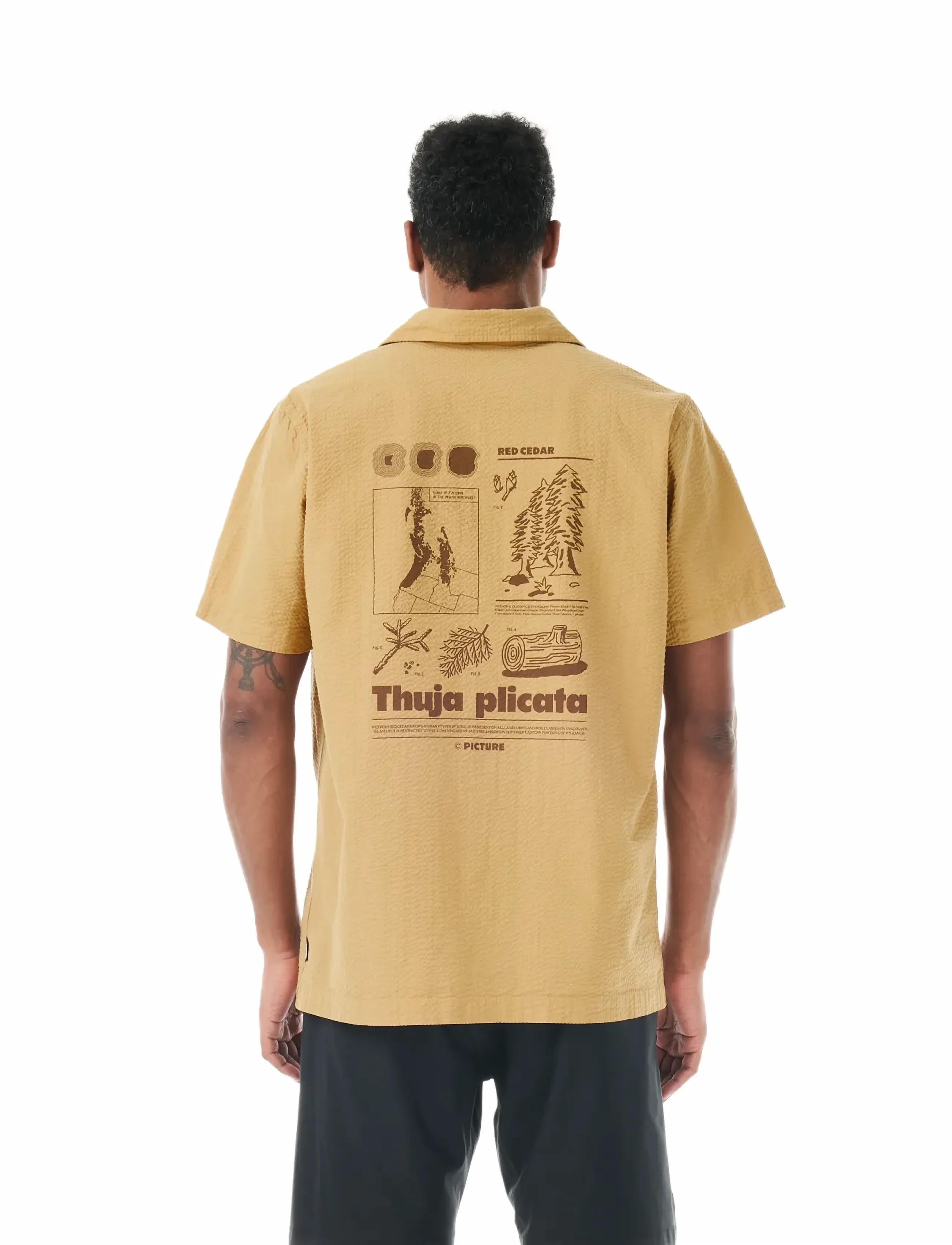 PICTURE ORGANIC CLOTHING - NARVIK PRINTED SHIRT - toppe & t-shirts - a lark - 4
