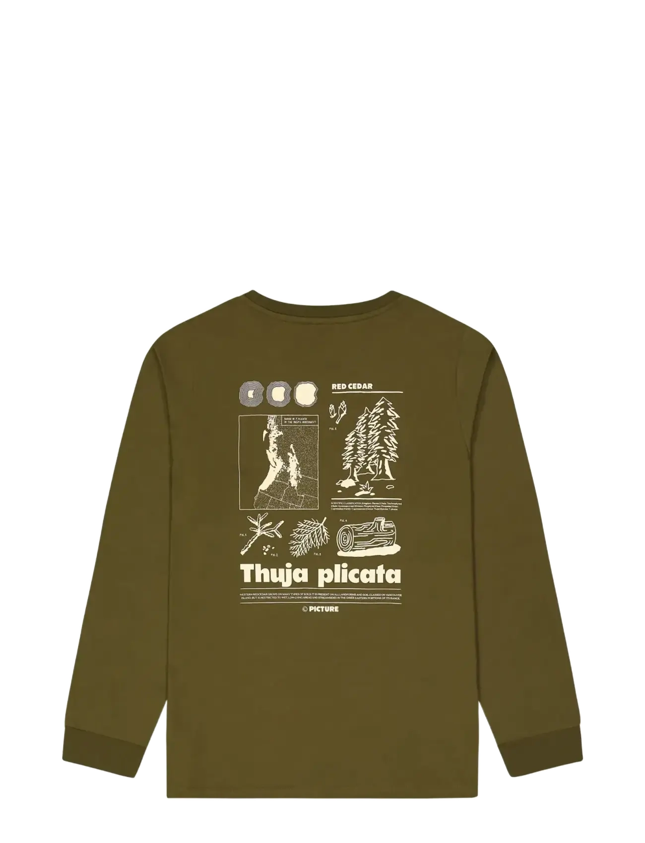 PICTURE ORGANIC CLOTHING - PEMBROKE LS TEE - toppe & t-shirts - b tobacco washed - 2