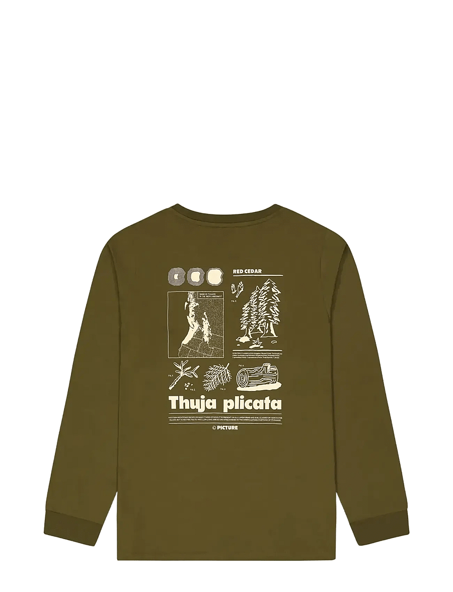 PICTURE ORGANIC CLOTHING - PEMBROKE LS TEE - pikkade varrukatega alussärgid - b tobacco washed - 2