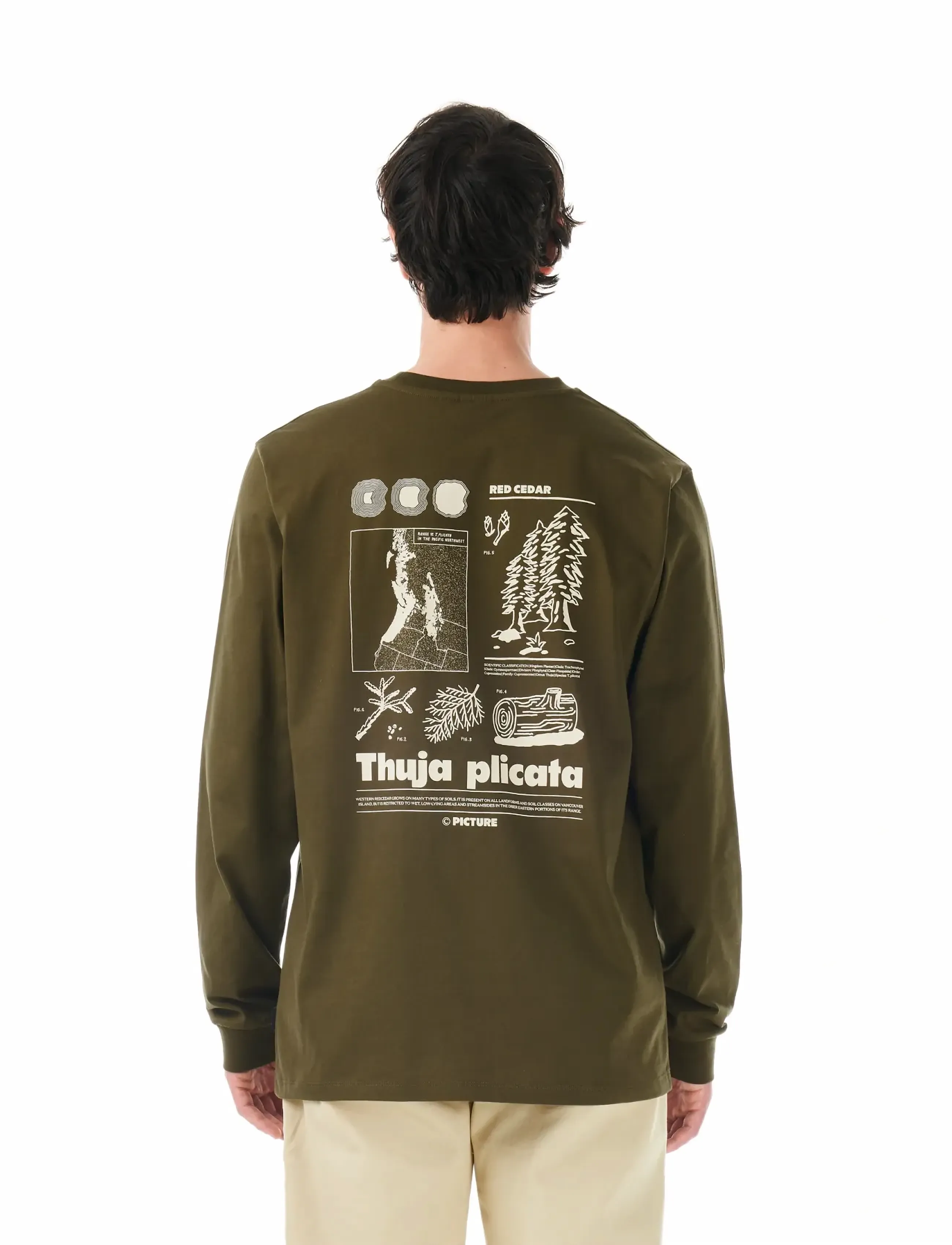 PICTURE ORGANIC CLOTHING - PEMBROKE LS TEE - toppe & t-shirts - b tobacco washed - 4