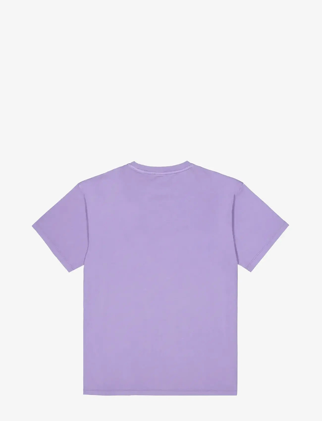 PICTURE ORGANIC CLOTHING - CHILANKO TEE - alussärgid ja t-särgid - c purple haze washed - 1