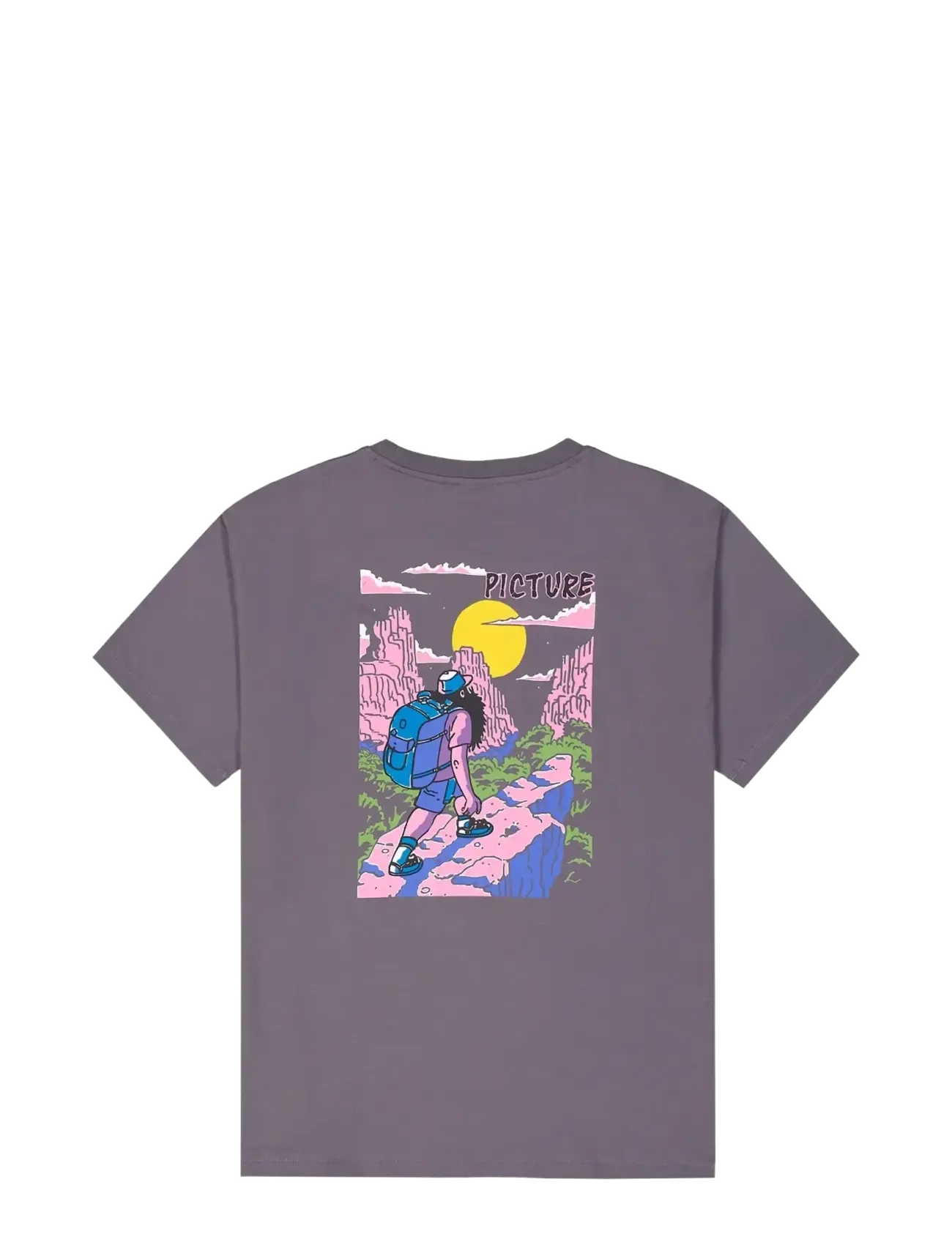 PICTURE ORGANIC CLOTHING - NIGHTKING TEE - oberteile & t-shirts - a excalibur - 2