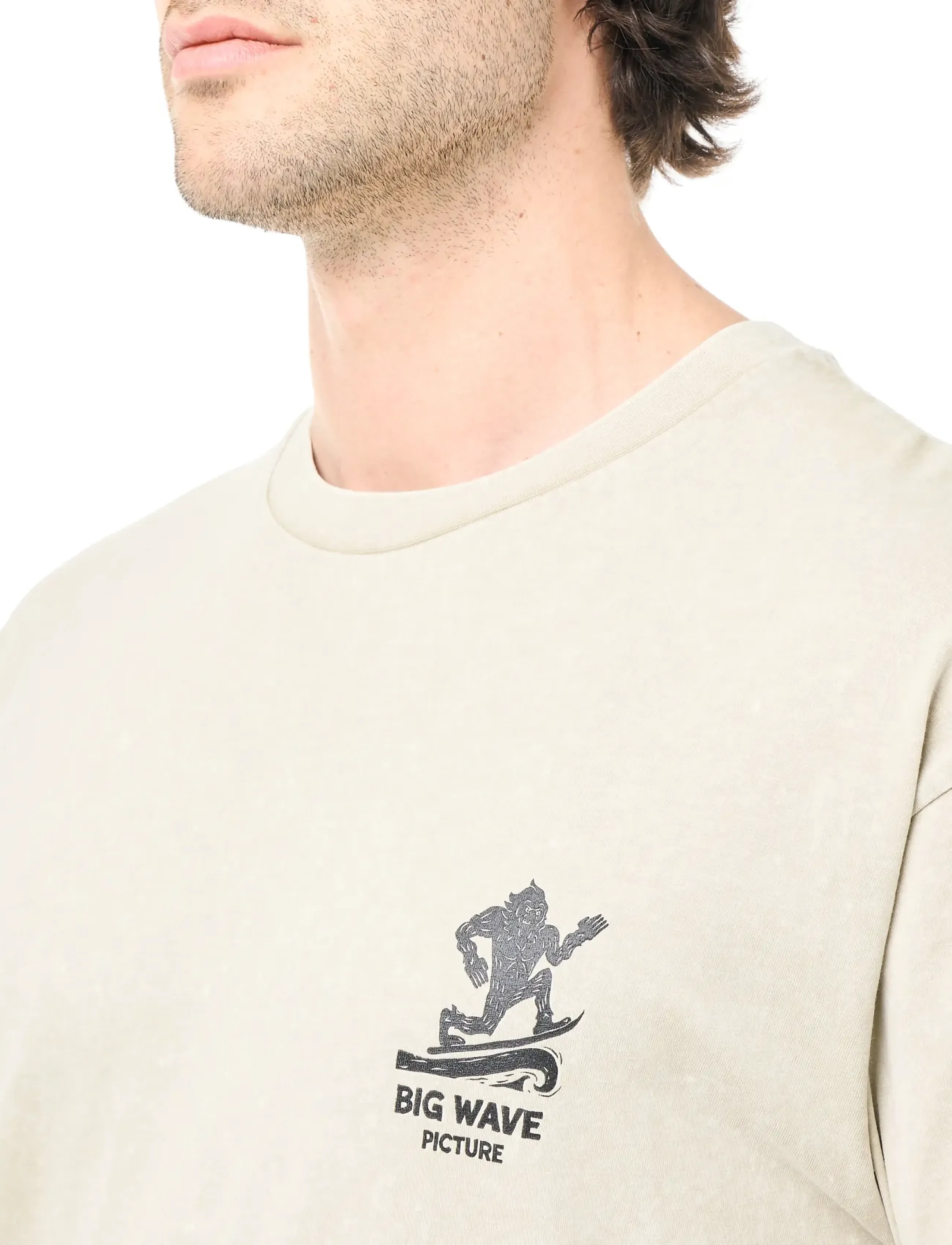 PICTURE ORGANIC CLOTHING - BIGFOOT TEE - oberteile & t-shirts - pure cashmere washed - 5