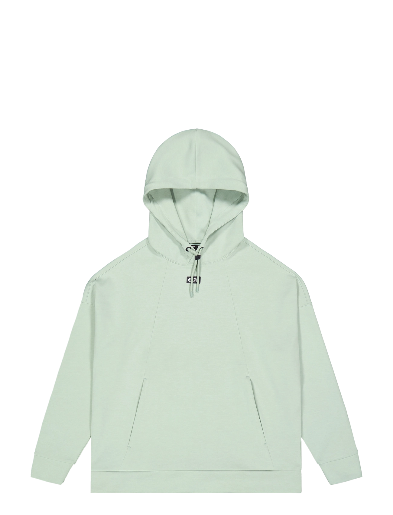 PICTURE ORGANIC CLOTHING PLURIS W TECH HOODIE - Kapuzenpullover - A CLOUDY BLUE / green