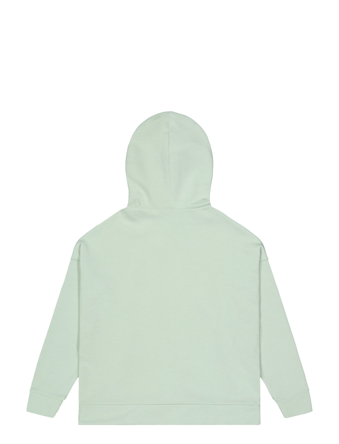 PICTURE ORGANIC CLOTHING - PLURIS W TECH HOODIE - sweats et sweats à capuche - a cloudy blue - 2