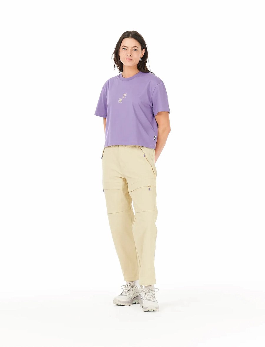 PICTURE ORGANIC CLOTHING - HAVOR W CARGO PANTS - casual - wood ash - 3