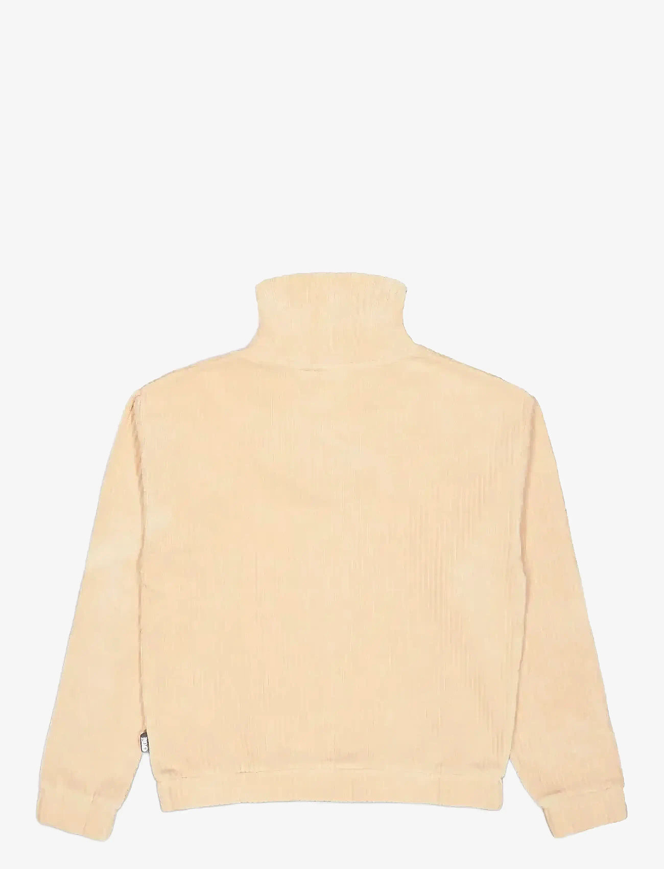 PICTURE ORGANIC CLOTHING - LAIKKO CREW - Överdelar - a smoke gray - 2