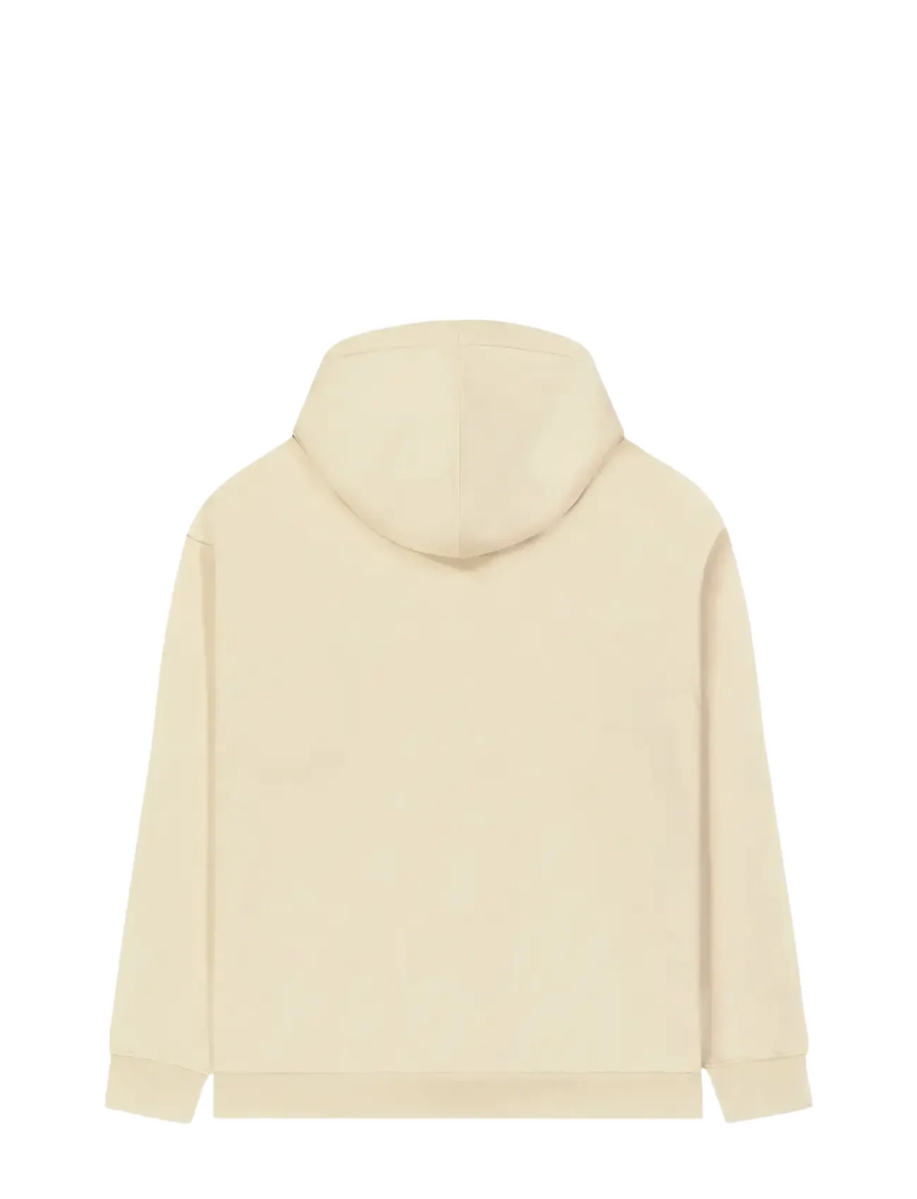 PICTURE ORGANIC CLOTHING - LUMINARY HOODIE - dressipluusid ja pusad - wood ash - 2