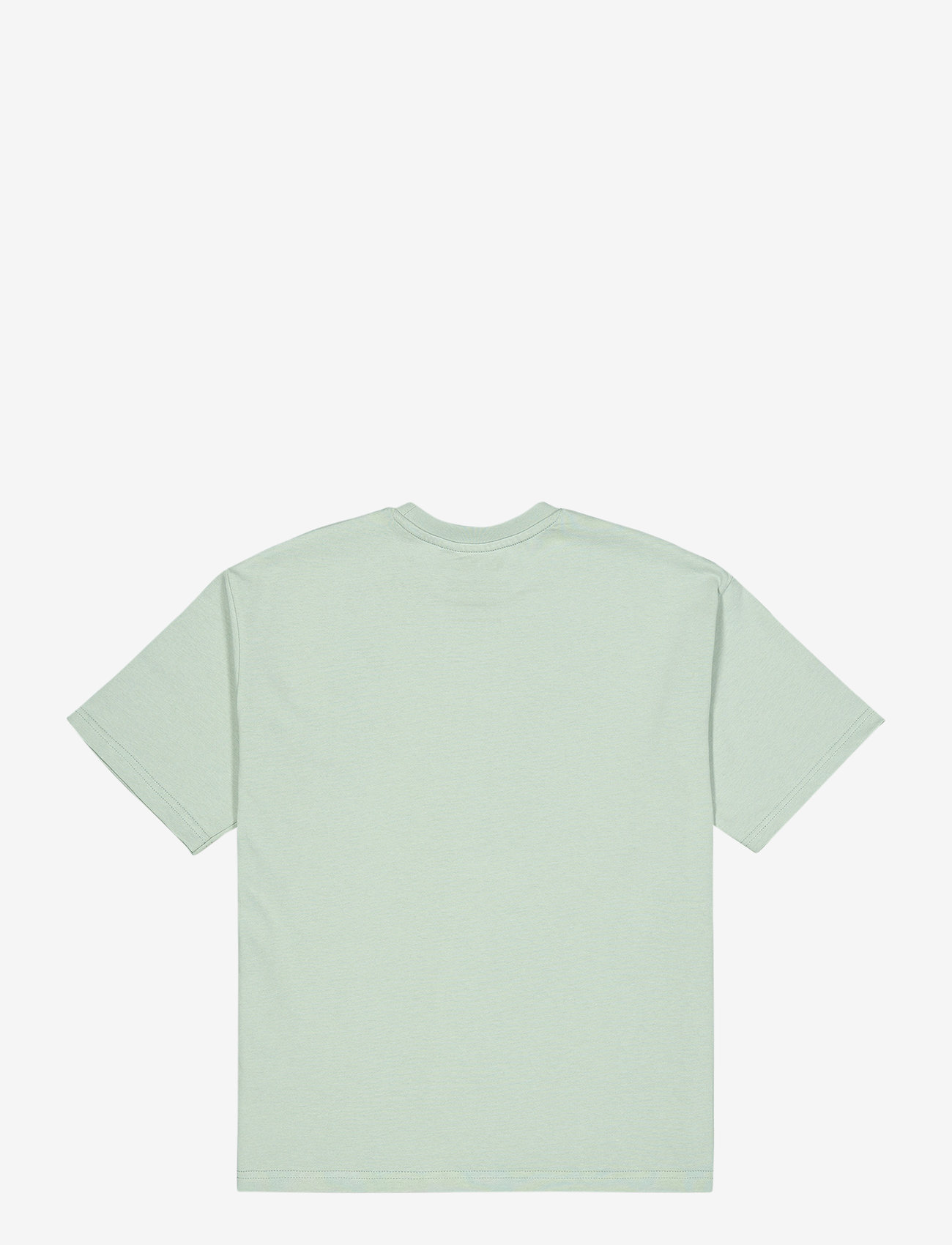 PICTURE ORGANIC CLOTHING - MAOGANY TEE - toppar & t-shirts - b cloudy blue - 2
