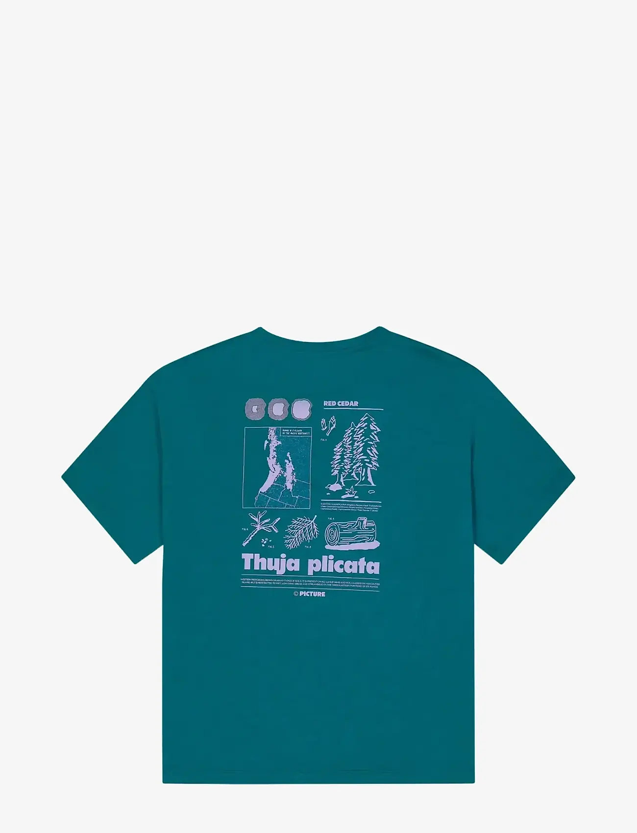 PICTURE ORGANIC CLOTHING - TIMONT W TECH TEE - t-shirts - deep water - 2