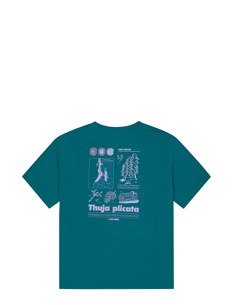 PICTURE ORGANIC CLOTHING - TIMONT W TECH TEE - alussärgid ja t-särgid - deep water - 2