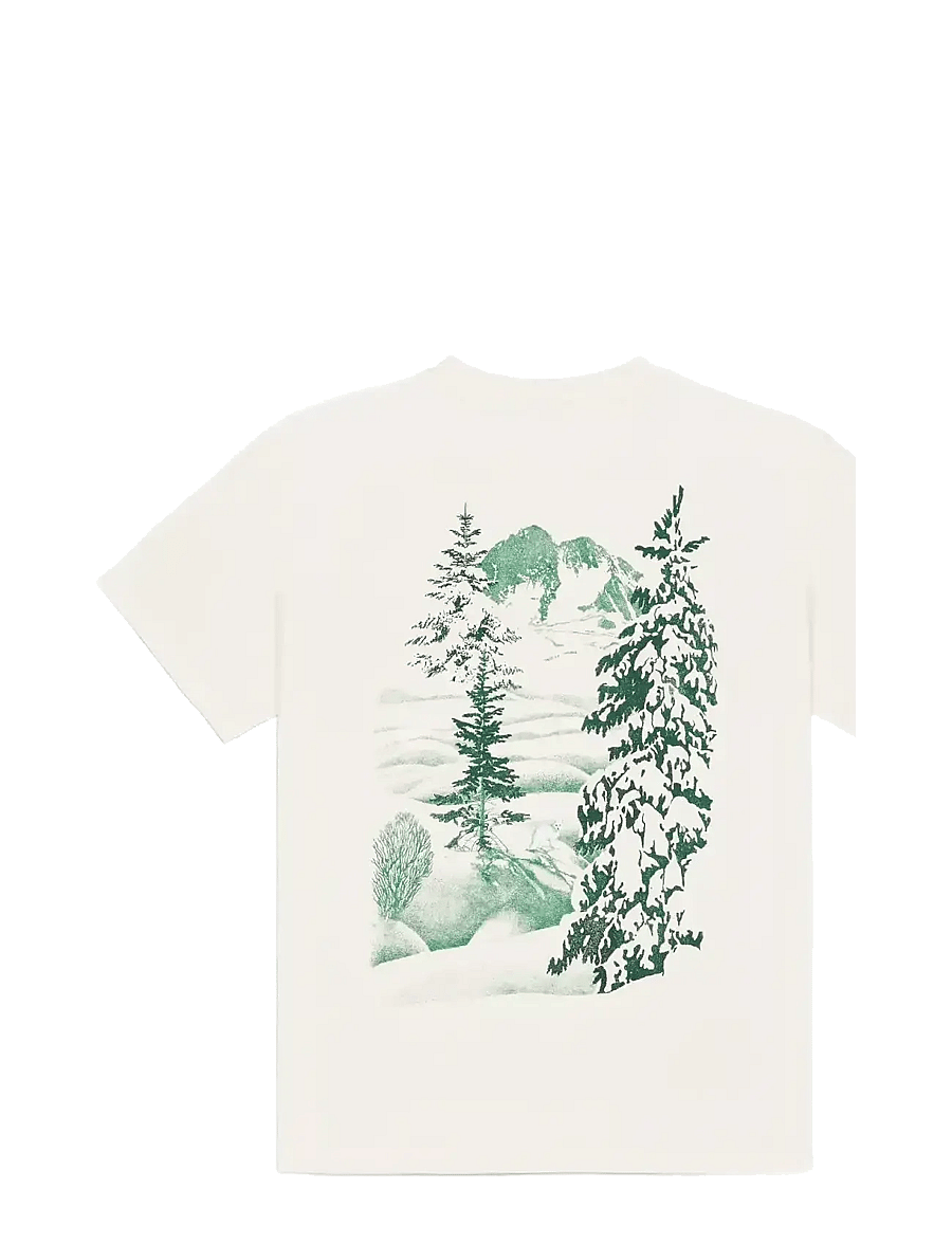 PICTURE ORGANIC CLOTHING - MANON DIEMER TEE - t-särgid - a white fox - 2