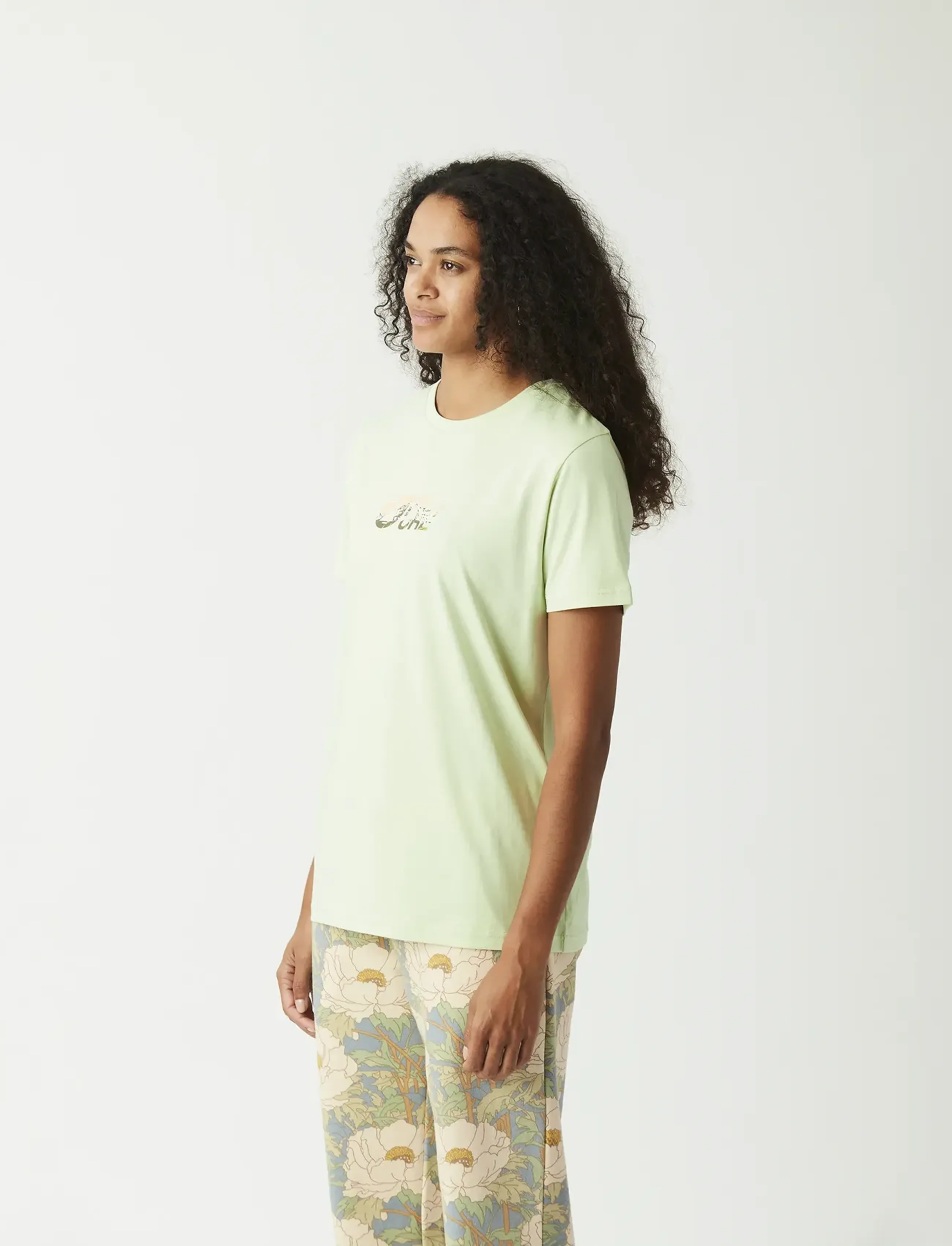 PICTURE ORGANIC CLOTHING BASEMENT TEE W - T-shirts & Toppe - A TENDER GREEN / green