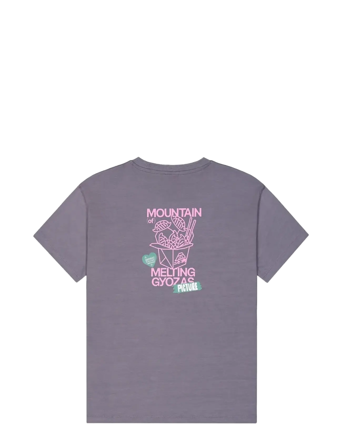 PICTURE ORGANIC CLOTHING - CASTURA TEE - t-shirts - excalibur - 2