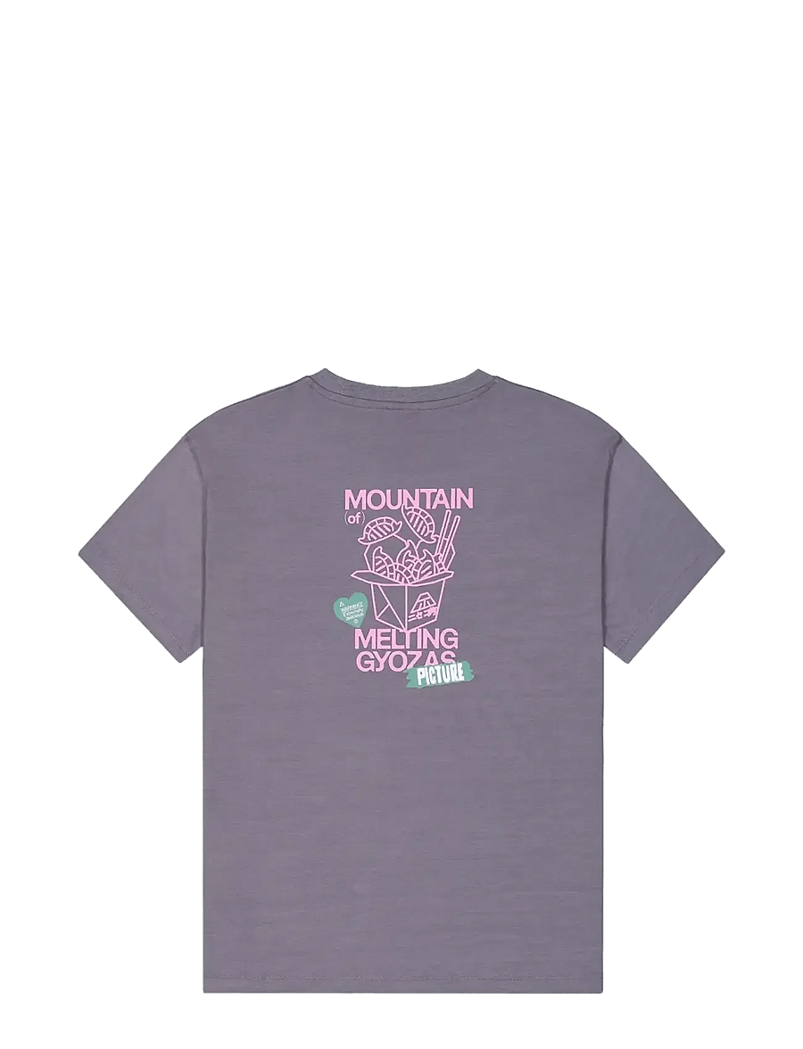 PICTURE ORGANIC CLOTHING - CASTURA TEE - t-shirts - excalibur - 2
