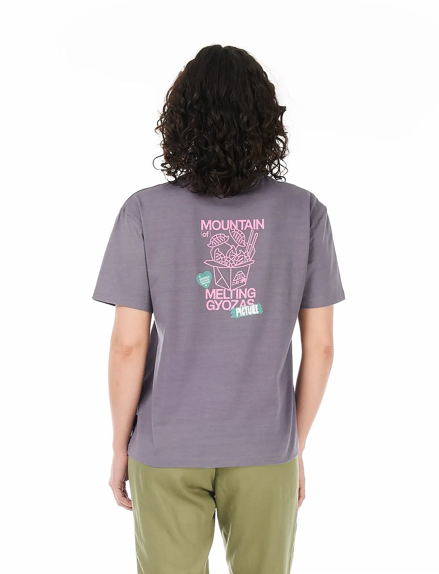 PICTURE ORGANIC CLOTHING - CASTURA TEE - t-shirts - excalibur - 4