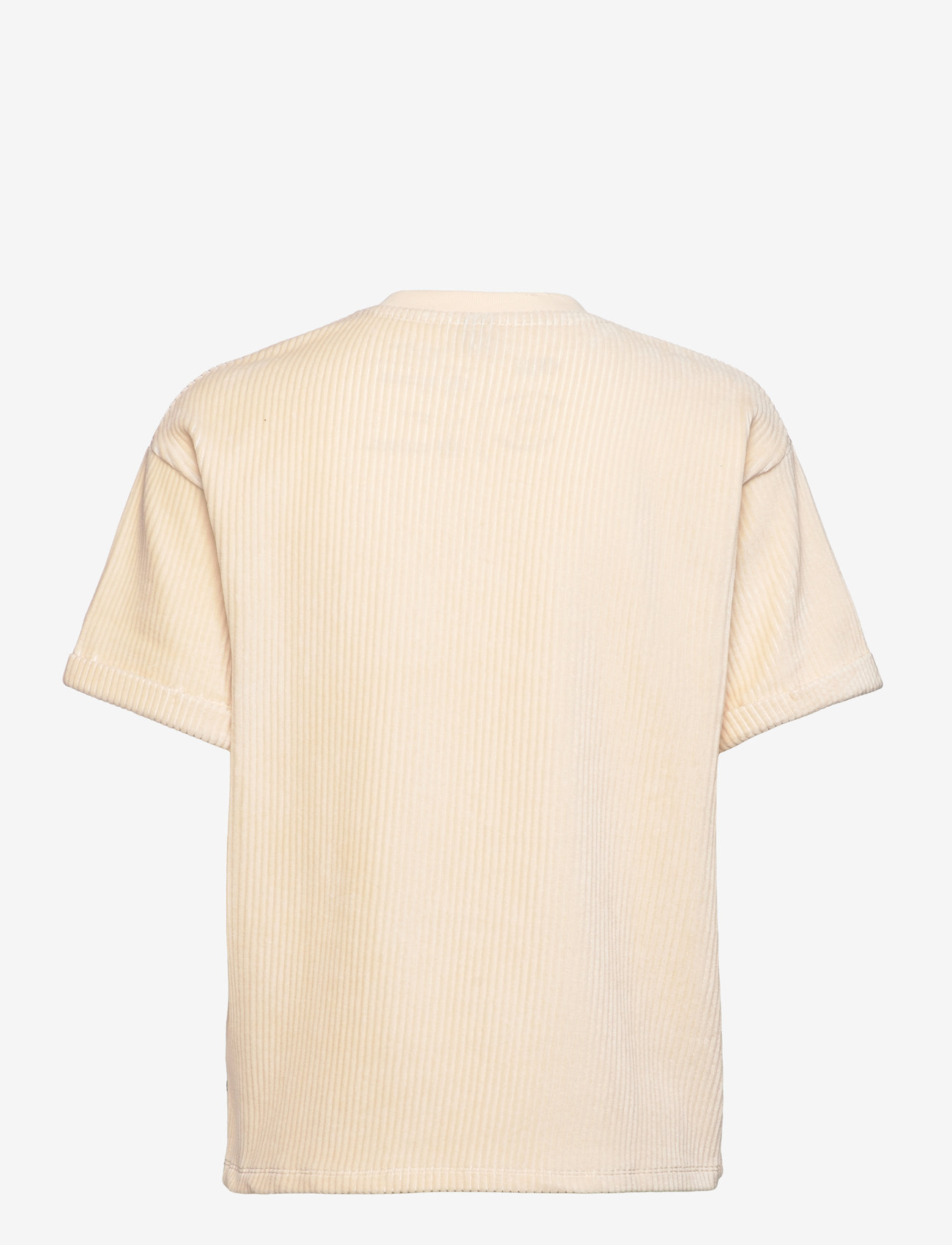 PICTURE ORGANIC CLOTHING - KIARRA VELOURS TEE - t-shirty - whitecap gray - 2