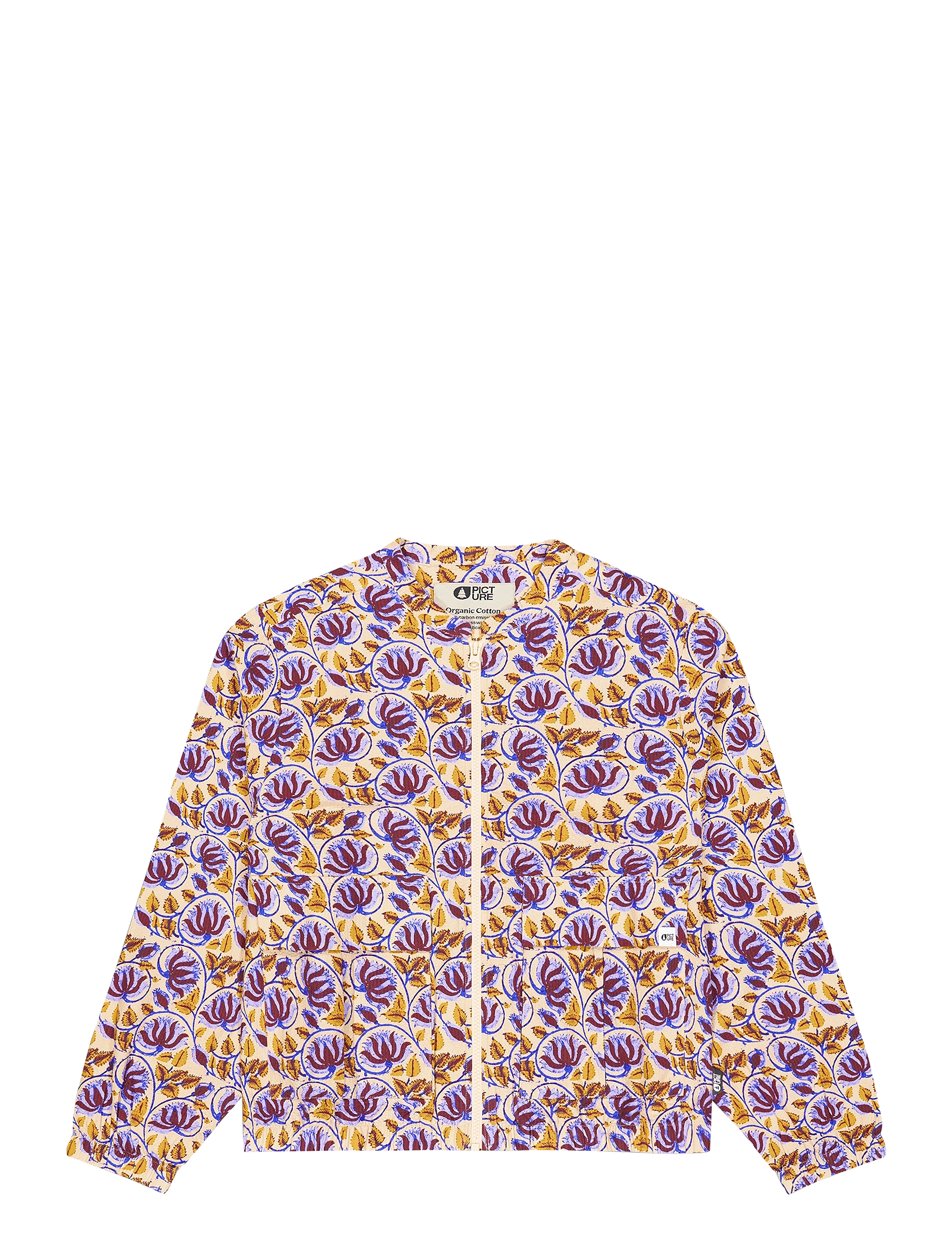 A ALPINE THISTLE PRINT