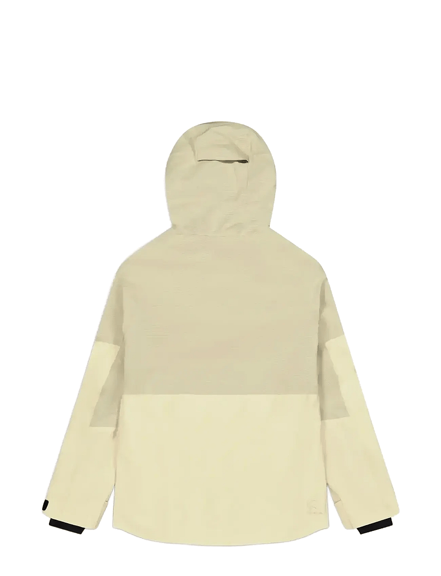 PICTURE ORGANIC CLOTHING - SYGNA JKT - vêtements de ski - c wood ash - 2
