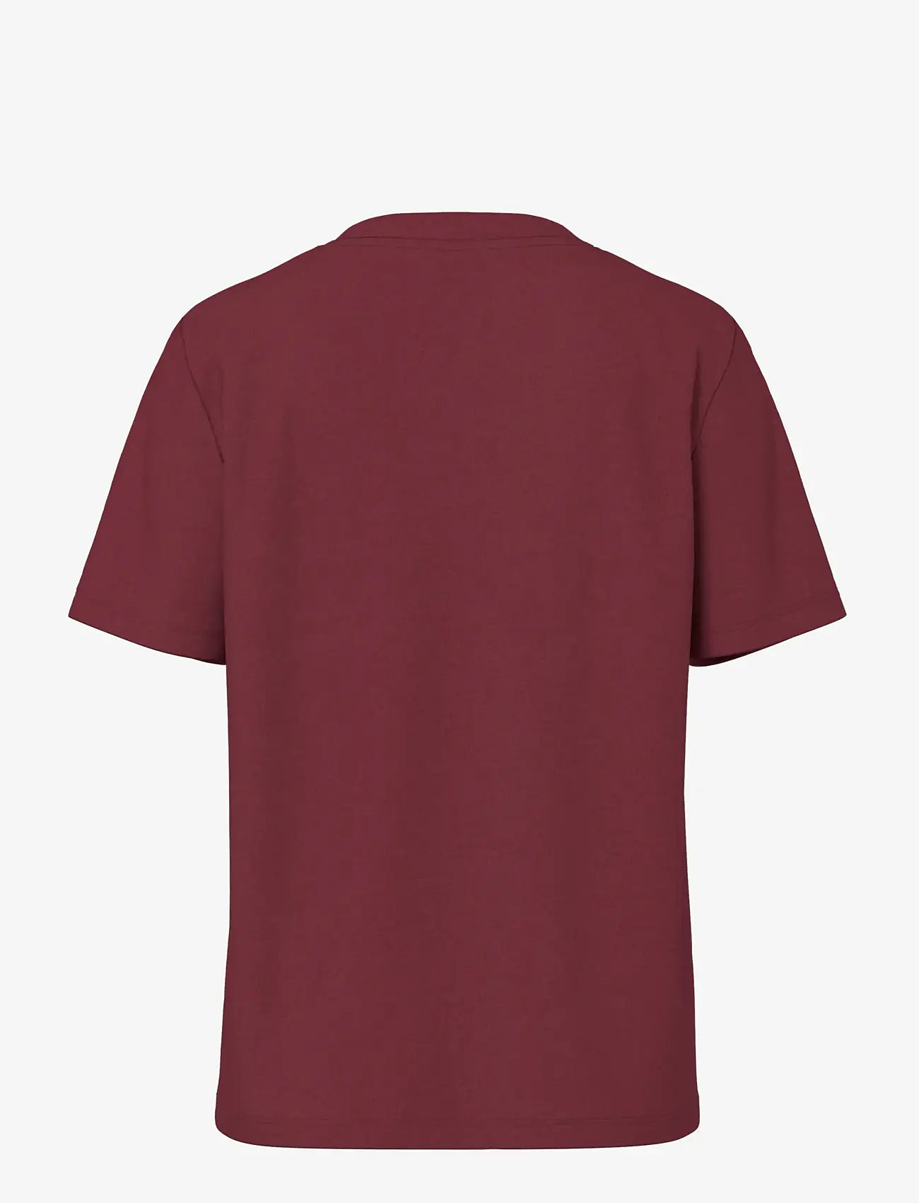 Pieces - PCRIA SS SOLID TEE JRS NOOS BC - efterårstøj - tawny port - 1