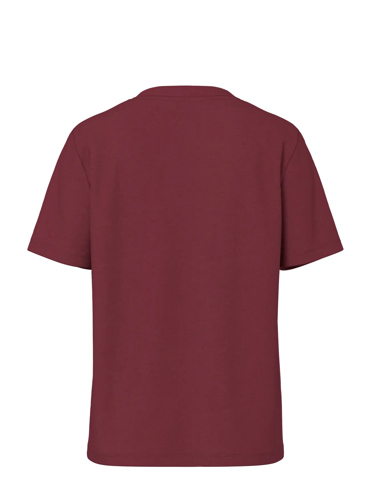 Pieces - PCRIA SS SOLID TEE JRS NOOS BC - t-shirts - tawny port - 2