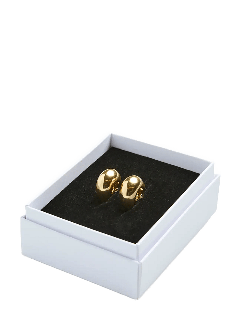 Pieces - PCDEVIA EARRINGS BOX WP - creoler & hoops - gold colour - 3