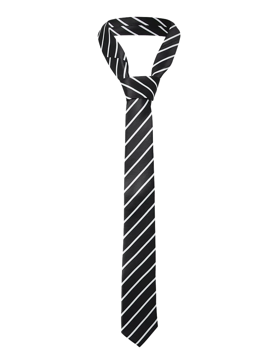 Pieces - PCOLLIA TIE BUNDLE D2D - sallid - black - 0
