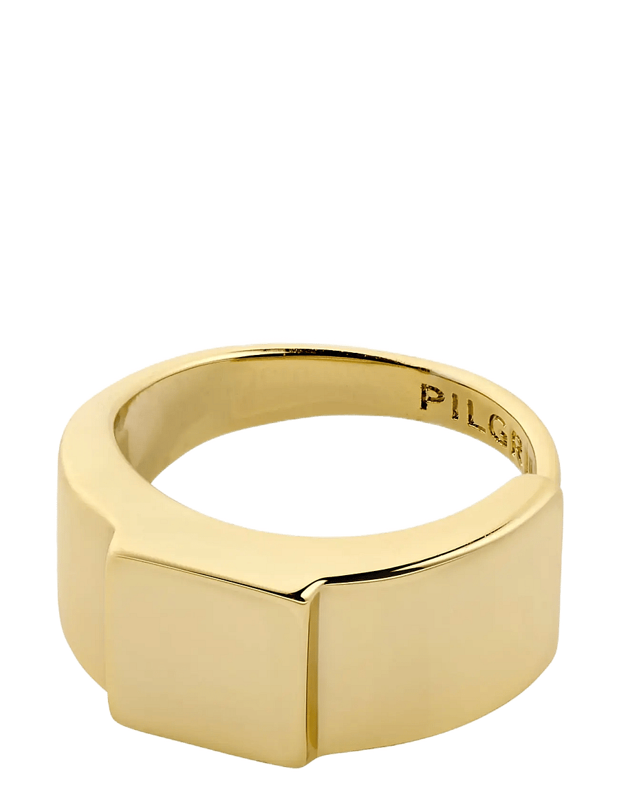 Pilgrim - FRIENDS ring gold-plated - gold plated - 1