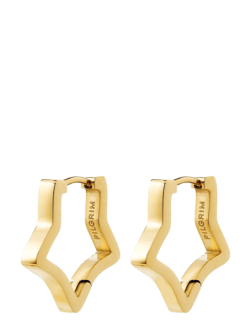 Pilgrim - SOLARI earrings gold-plated - hoops kõrvarõngad - gold plated - 0