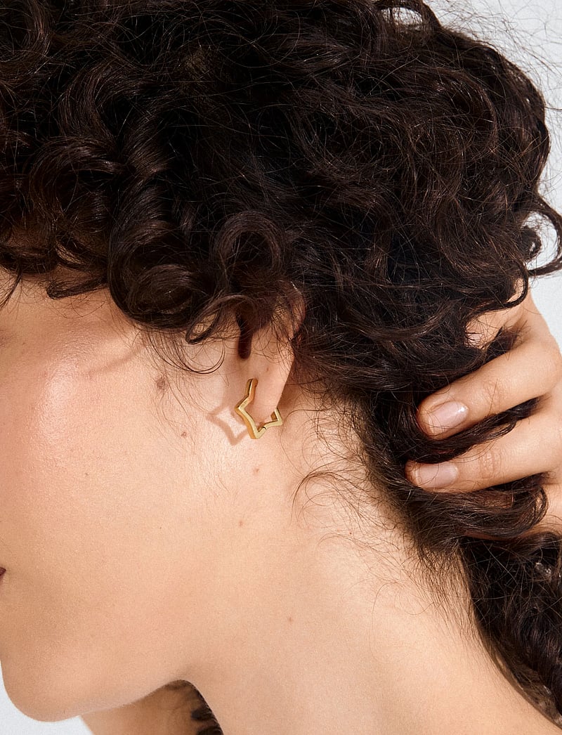 Pilgrim - SOLARI earrings gold-plated - hoops kõrvarõngad - gold plated - 2