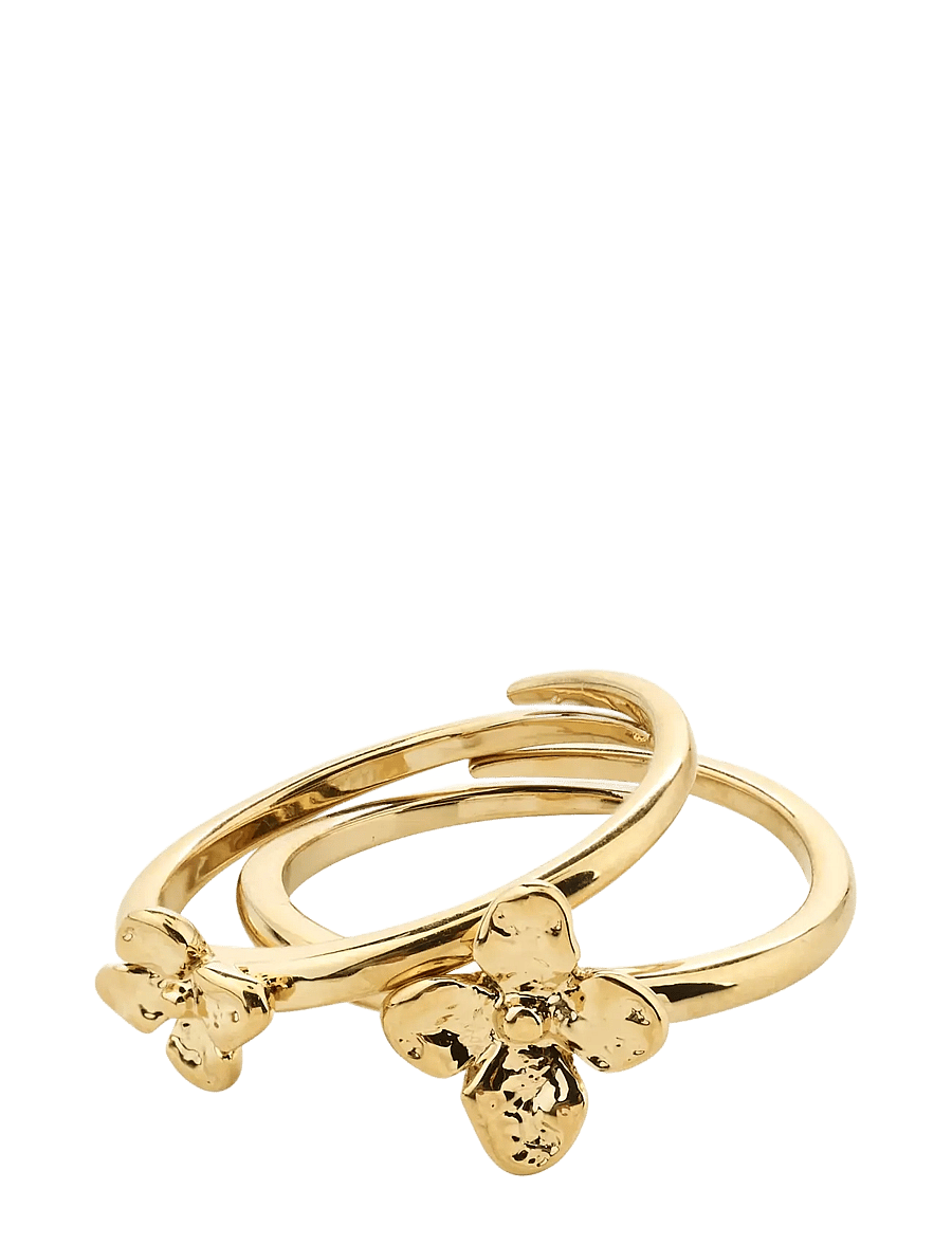 Pilgrim - SANINE gift set, rings & earstuds, gold-plated - Ørestikker - gold plated - 2