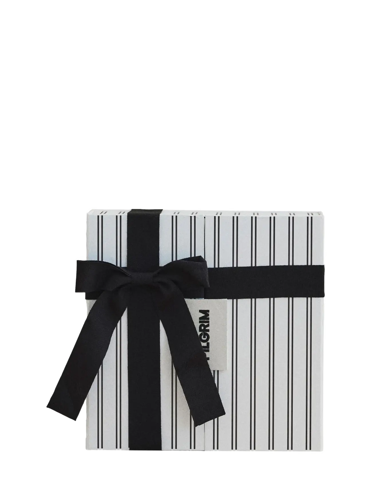 Pilgrim PILGRIM ADVENT CALENDAR 2026, silver - Schmuck - SILVER / silver