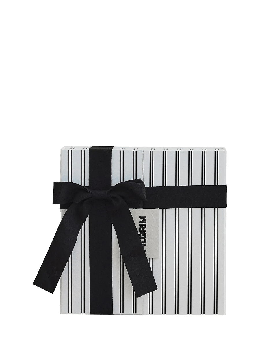 Pilgrim - PILGRIM ADVENT CALENDAR 2026, silver - silver - 0