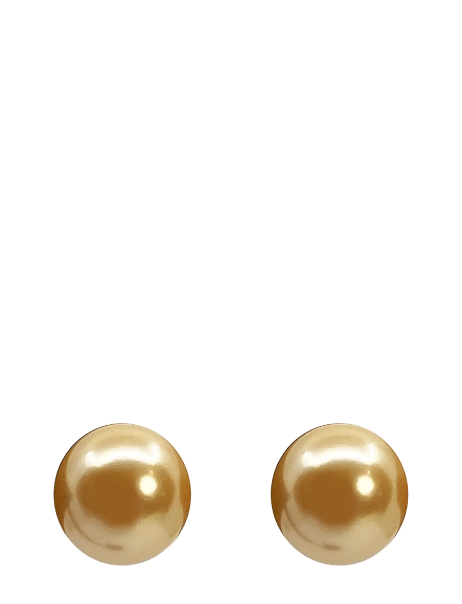 Pipol's Bazaar - Malou Ear 10 mm Golden Shell - pärlörhängen - gold - 0