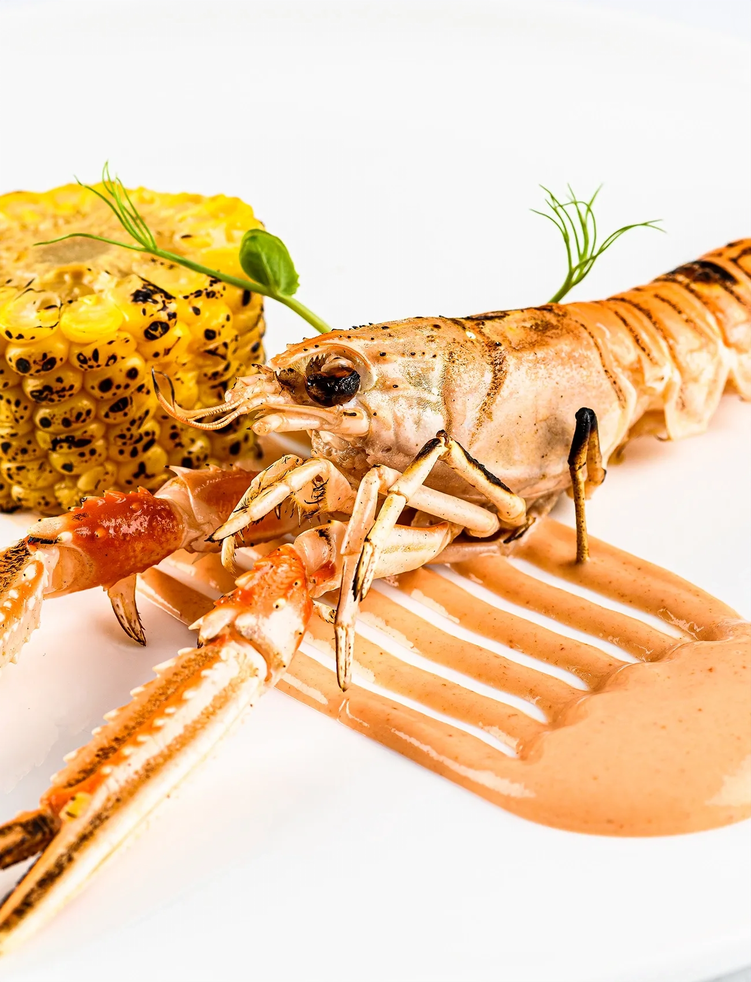 Plate it Scrapers SET Plate-It - Confirmation - GREY / grey