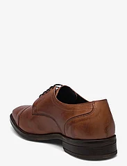 Playboy Footwear - TOM - suvarstomieji batai - brown - 2