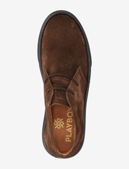 Playboy Footwear - Anis 2.0 - aavikkokengät - brown suede/black - 3