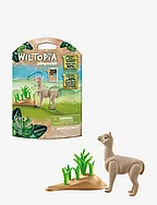 PLAYMOBIL Wiltopia Alpaca - 71062 - MULTICOLORED