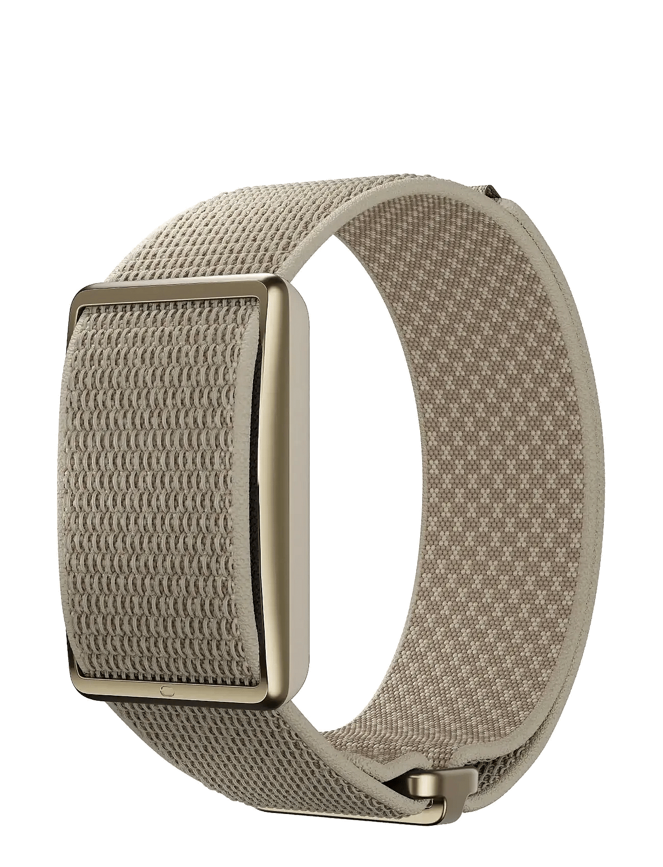 Polar - Polar Loop Gen2 -