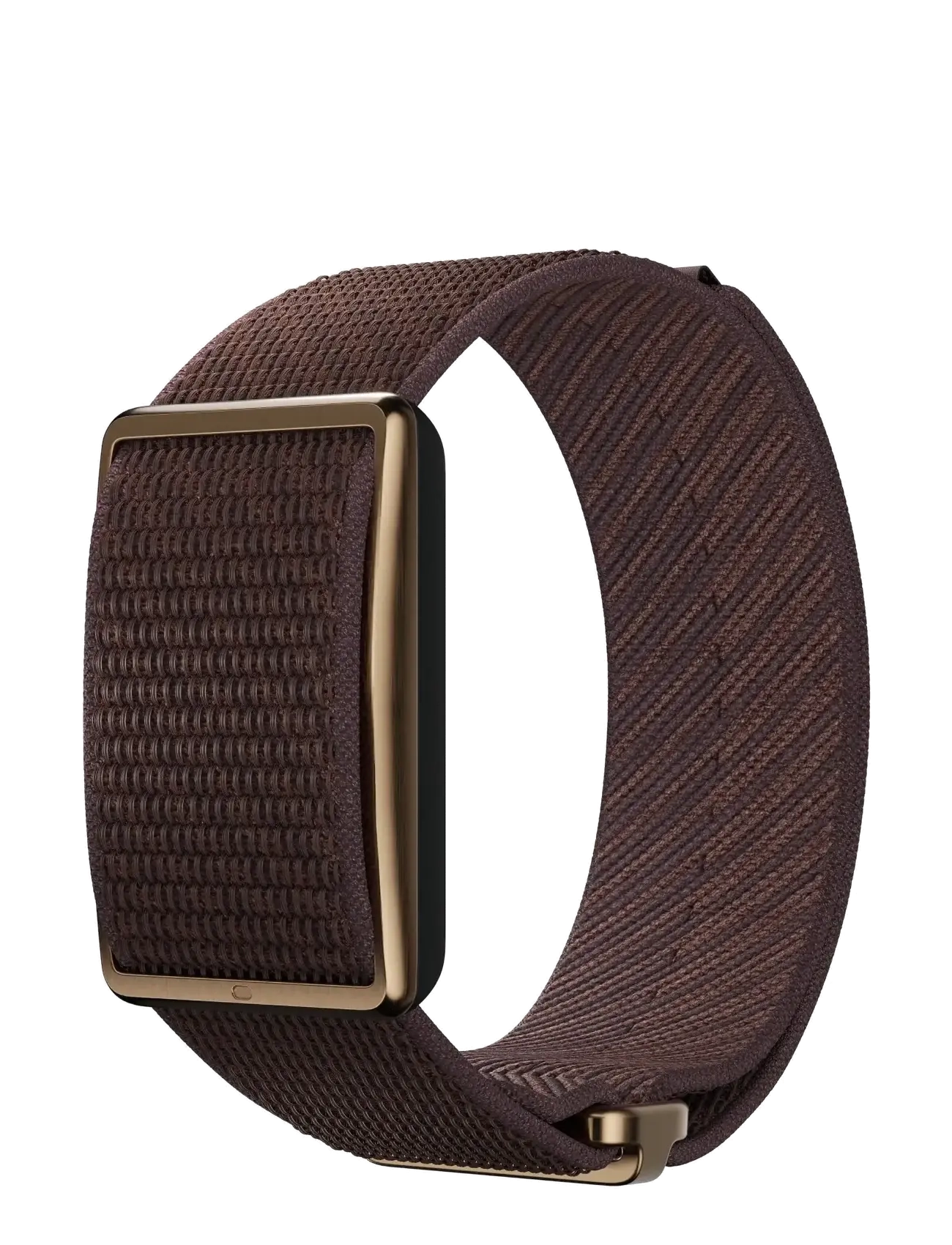 Polar - Polar Loop Gen2 -