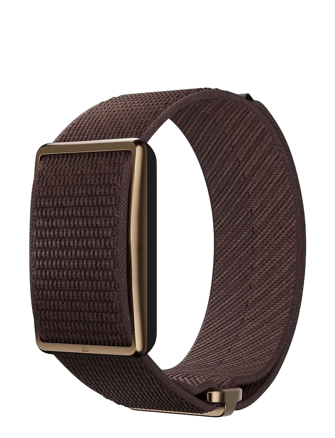 Polar - Polar Loop Gen2 -