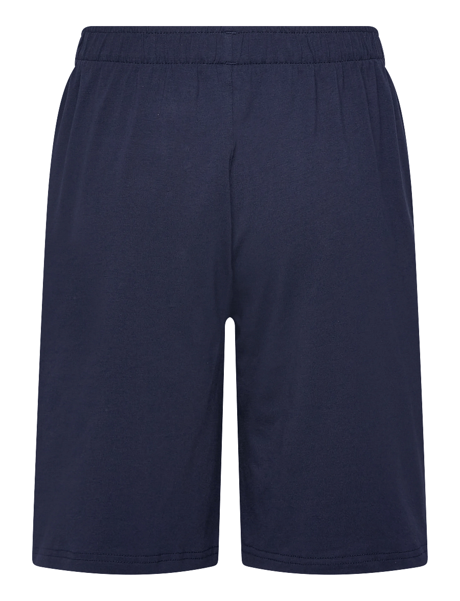 Ralph Lauren Kids - L4-LOUNGE SHORT SET - sæt med kortærmet t-shirt - newport navy - 3