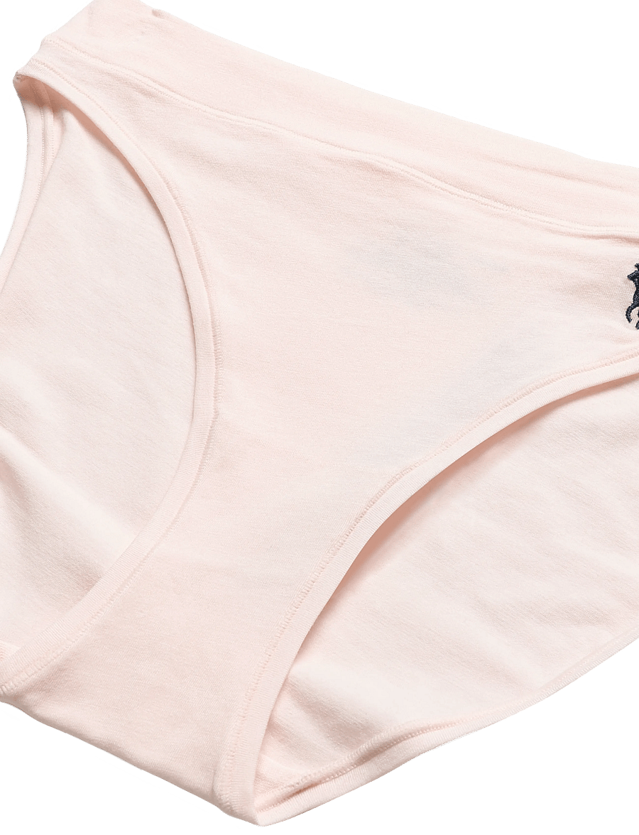 Polo Ralph Lauren Intimates - Stretch-Cotton Bikini Brief - briefs - gardenrose - 2