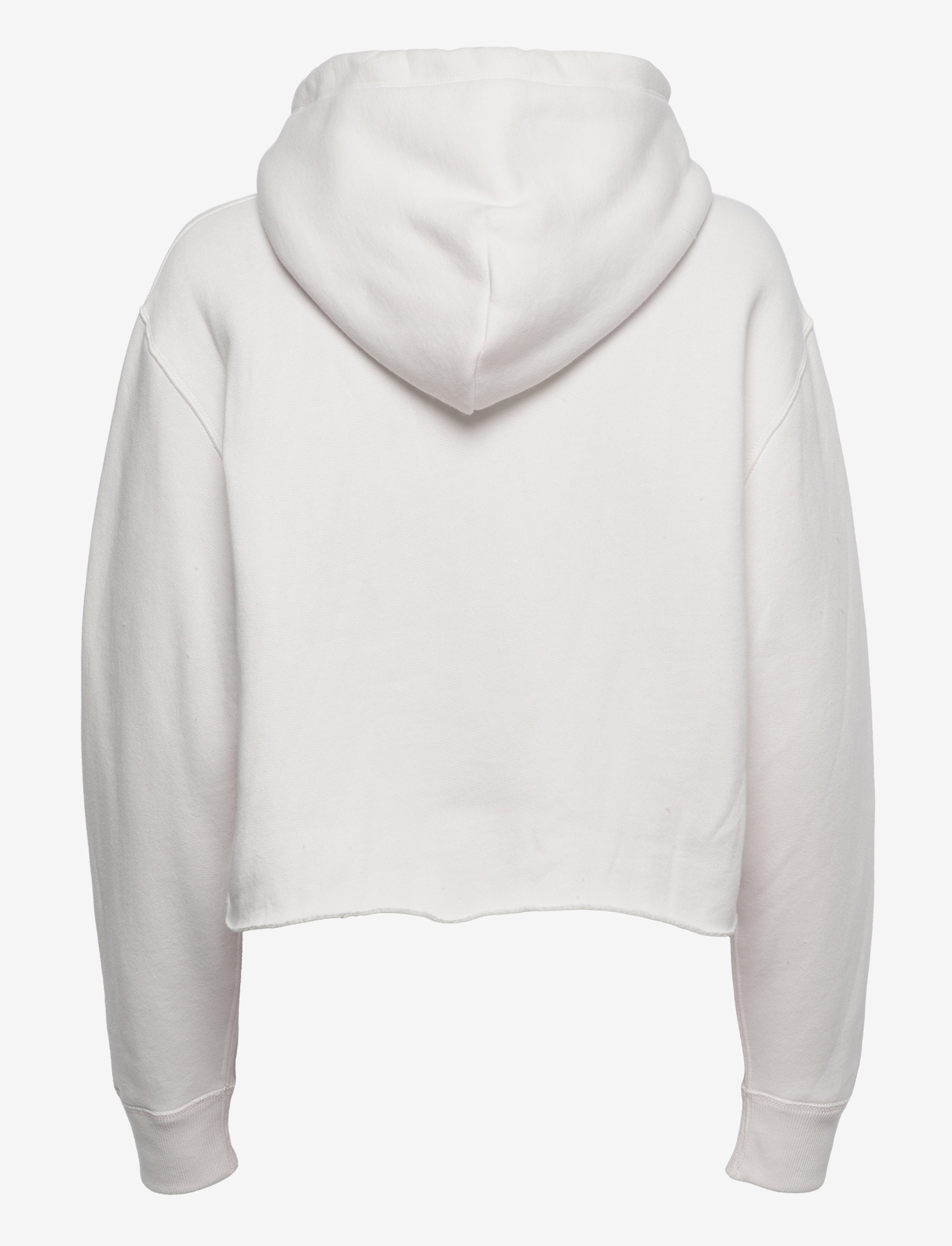Polo Ralph Lauren - Logo Graphic Cropped Hoodie - nevis - 1