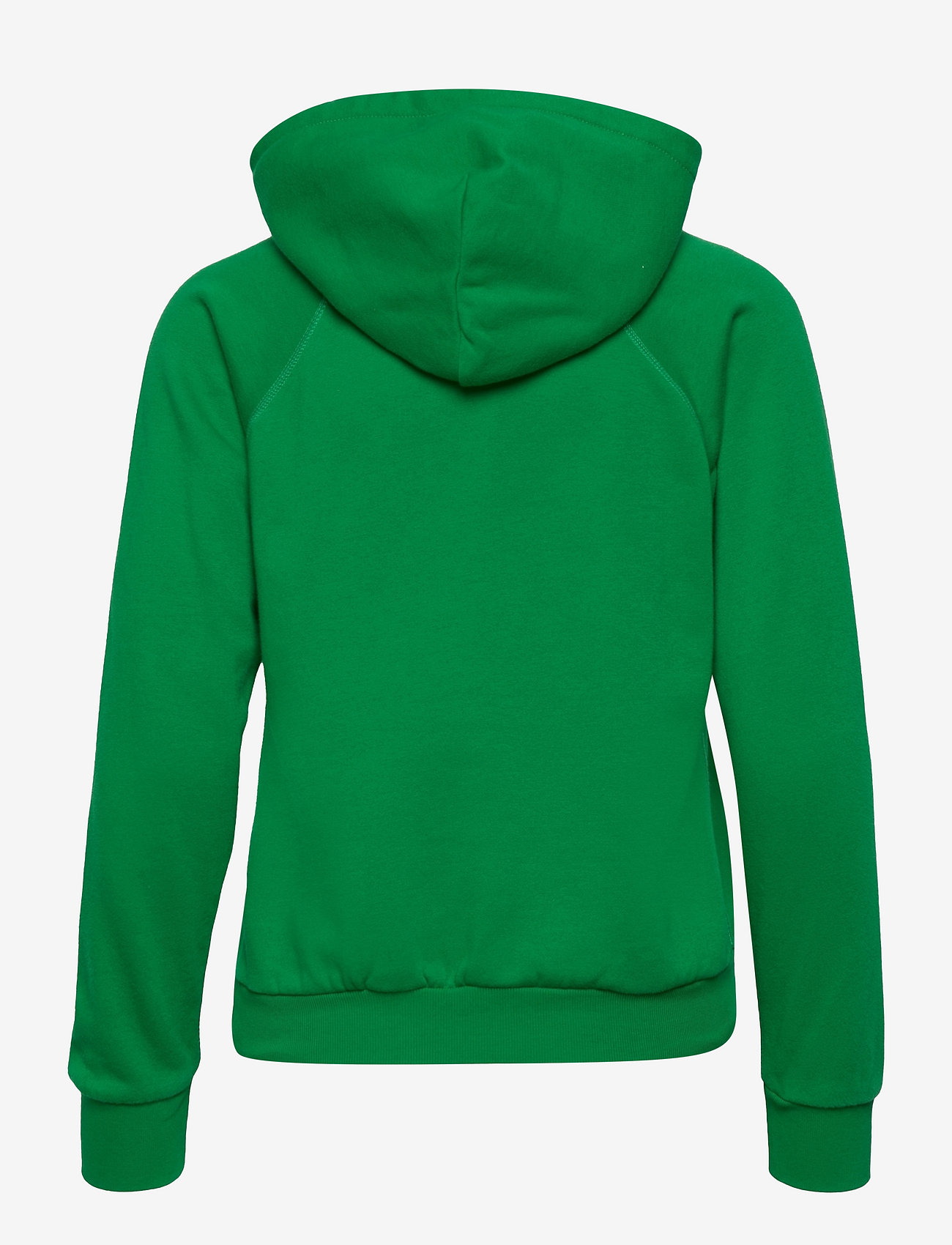 Polo Ralph Lauren Ombré Big Pony Fleece Hoodie - Pulls à capuche - Boozt.com