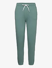 Polo Ralph Lauren - ARCTIC FLEECE-AKL-ATL - apakšējais apģērbs - hampton green - 0