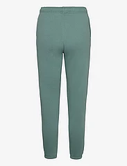 Polo Ralph Lauren - ARCTIC FLEECE-AKL-ATL - apakšējais apģērbs - hampton green - 1
